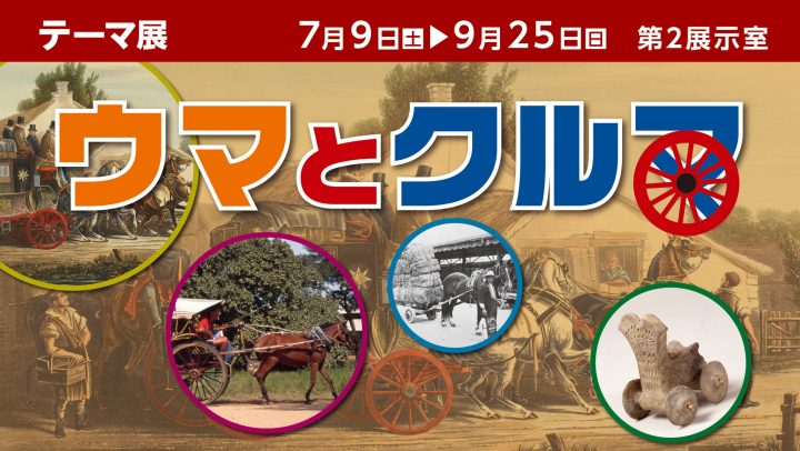介紹各種馬和汽車的歷史。
