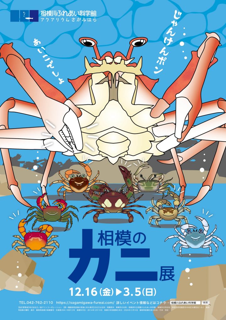 I will tell you about the importance of the Sagami River and Sagami Bay as habitats for crabs.