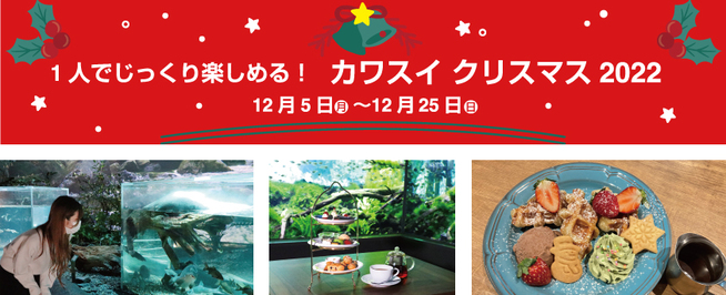 Kawasui first held! Private event for one person! Afternoon tea at the aquarium