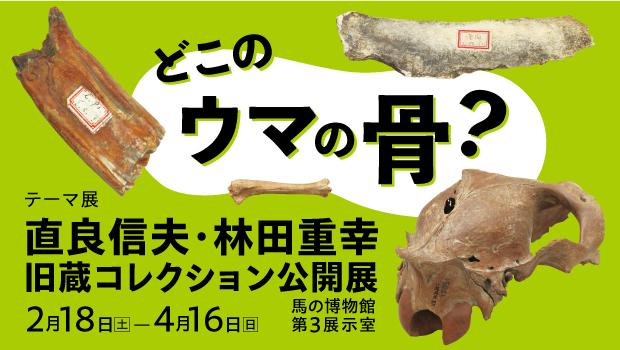 Naora 和 Hayashida 收集的收藏品将作为调查的中期报告首次展出。