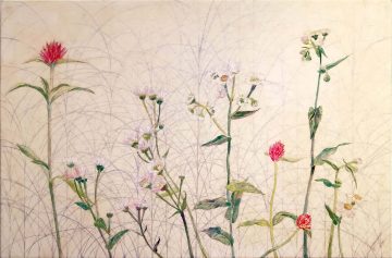 日本画家 Sono Tazawa 的作品以植物之美为主题。