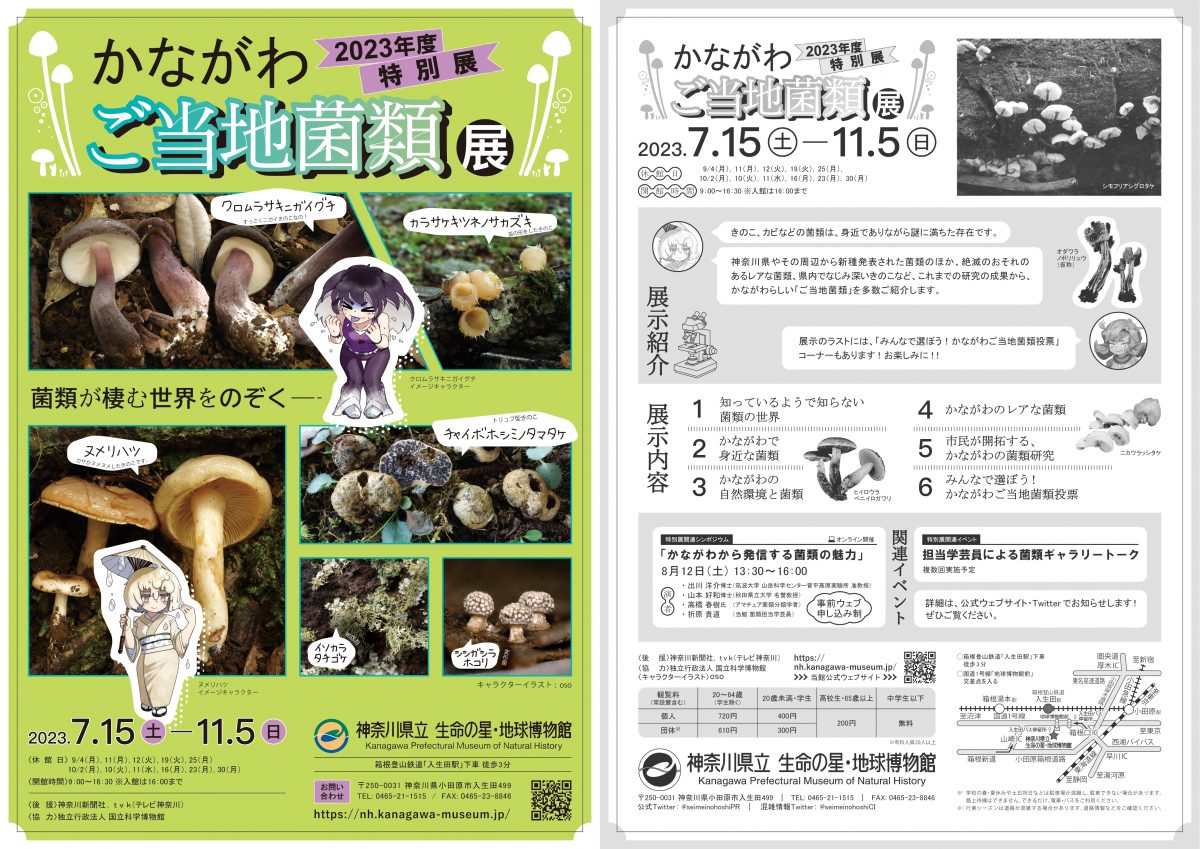 かながわらしい「ご当地菌類」を多数ご紹介します。