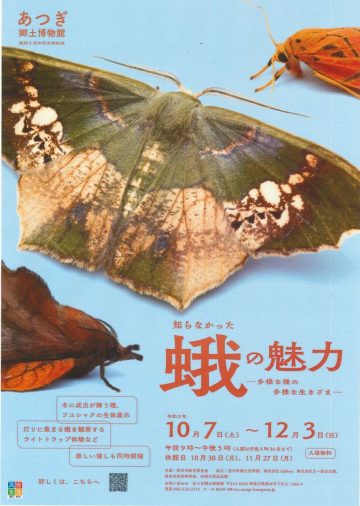 特別展「知らなかった蛾の魅力～多様な種の多様な生きざま～」