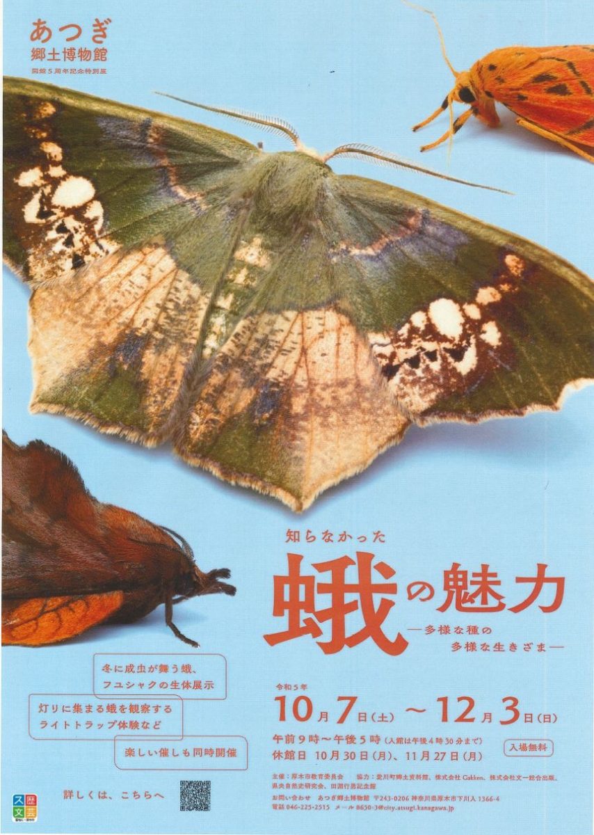 特別展「知らなかった蛾の魅力～多様な種の多様な生きざま～」