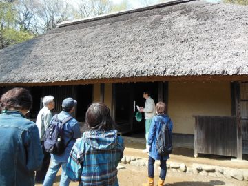 Tour of old folk houses (architecture)