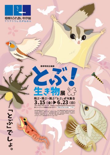 Spring special exhibition “Flying! Creature Exhibition”