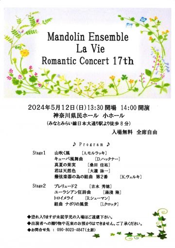 Mandolin Romantic Concert