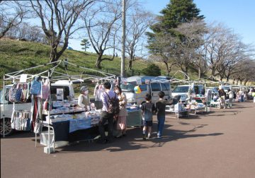 蒲公英跳蚤市场