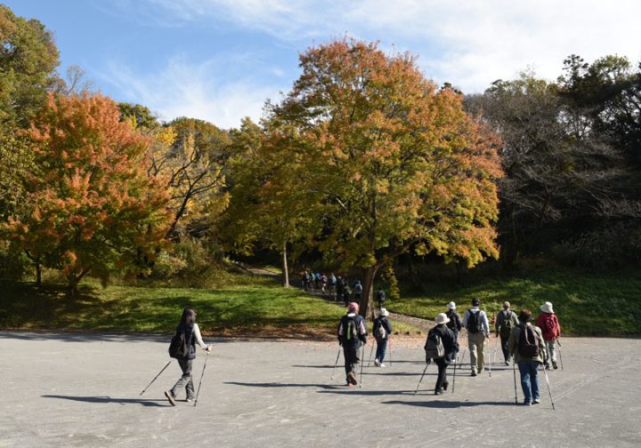 Enjoy casually Nordic Walking Club