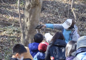 Winter insect hunting observation meeting