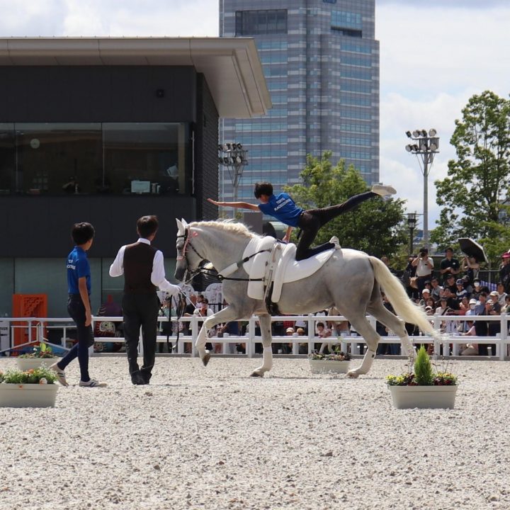 こどもと一緒に楽しむ グランドフィナーレ