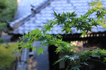 繩文晚期石器排列及墓地