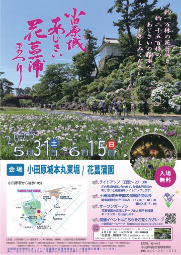 小田原城あじさい花菖蒲まつり の画像