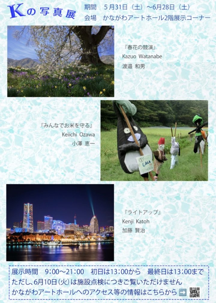 艺术/摄影 “K的摄影展”举办 的图片