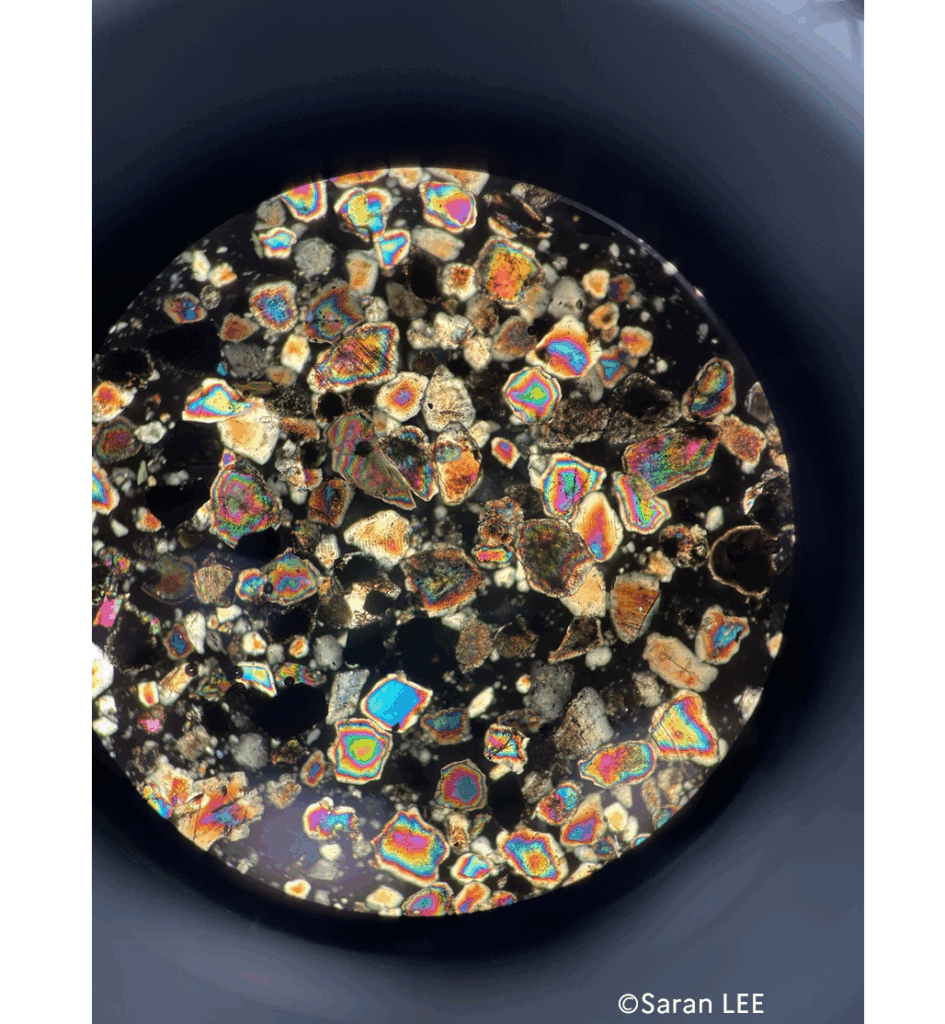 「海と科学の幽玄」展