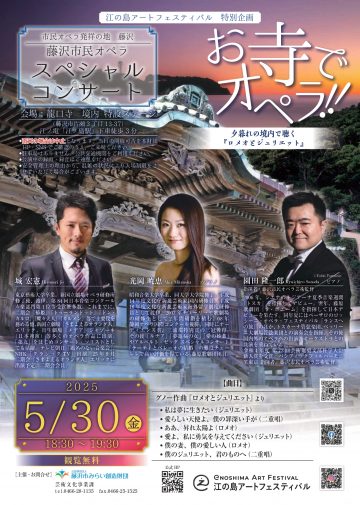 Image of Fujisawa City Opera Special Concert