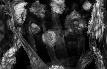 Image of Tomoko Abe Exhibition
