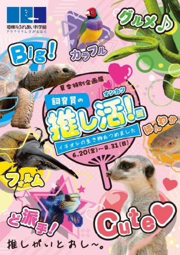 Image of 飼育員の推し活！展