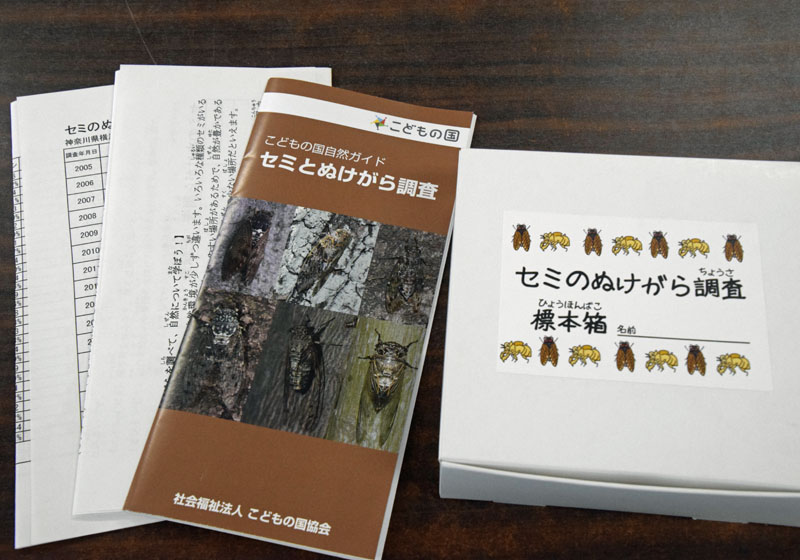 セミのぬけがら調査キット
