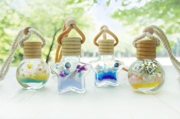 製作“海洋植物標本館” 的圖片