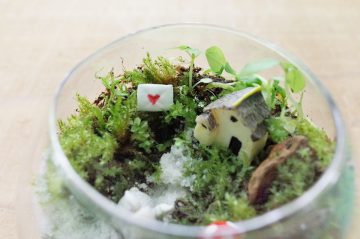 製作“小森林玻璃容器” 的圖片