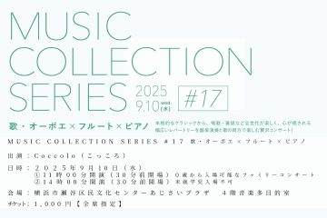 MUSIC COLLECTION SERIES #17 の画像