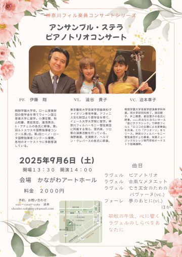 斯特拉钢琴三重奏音乐会 的图片