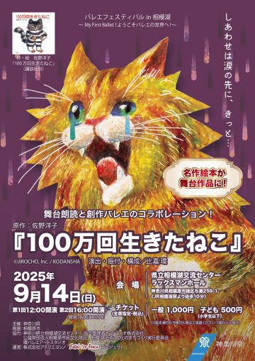 《活了一百万次的猫》 的图片