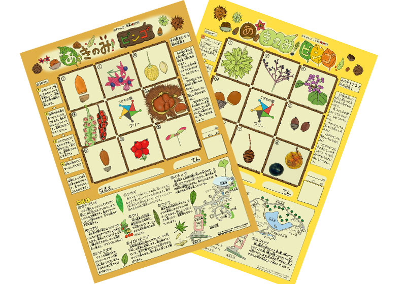 ビンゴとドングリ情報