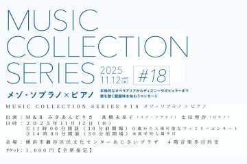 MUSIC COLLECTION SERIES #18 の画像
