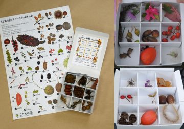 가을의 자연 츠메아와세칸사츠회의 이미지