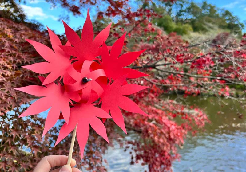 もみじのかざぐるま