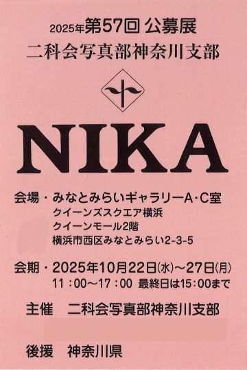 二科会写真部神奈川支部公募展 の画像
