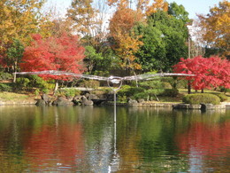 風の中で の画像