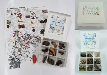 冬日森林的宝藏 的图片