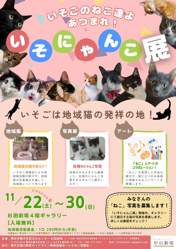 いそにゃんこ展