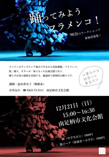 踊ってみようフラメンコ! の画像