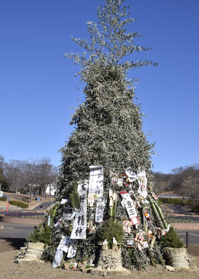 60th どんど焼き