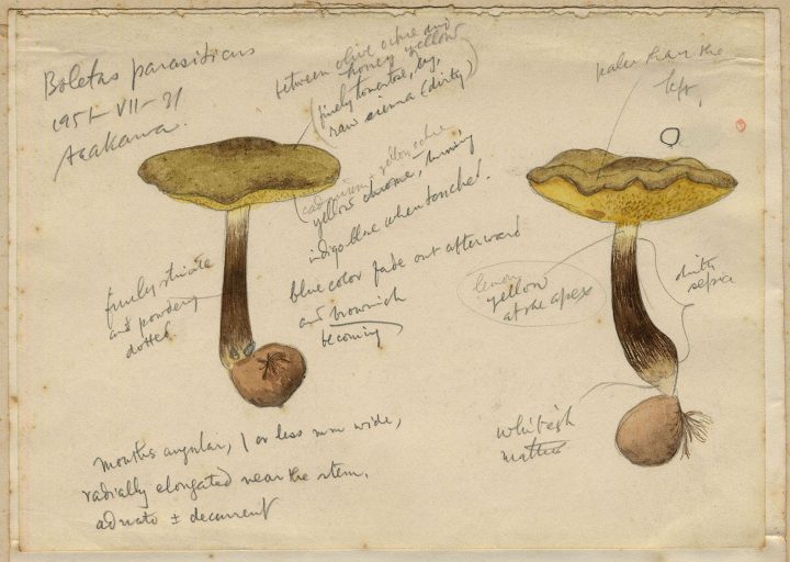 Image of 気軽に楽しむ 企画展