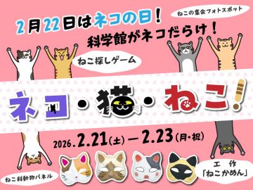 ネコ・猫・ねこ！ の画像