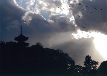 フォトコンテスト入賞作品展 の画像