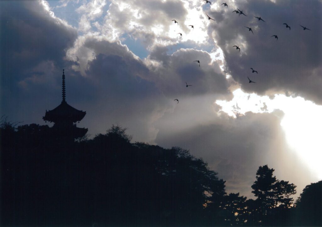 フォトコンテスト入賞作品展