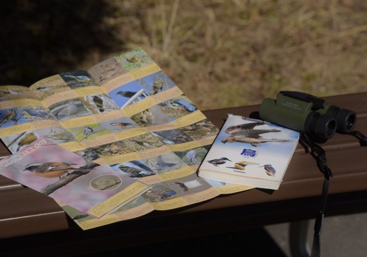 Image of Enjoy with your kids Children's Wild Bird Observation Club