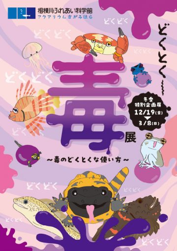 冬季特展 的圖片