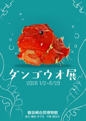 圓鰭魚展覽 的圖片