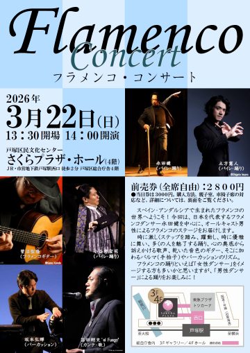 Image of Flamenco Concert