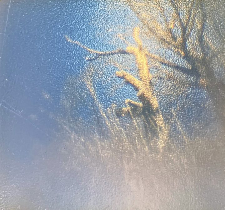 Image of Art and Photography M collective | Tuning Animism