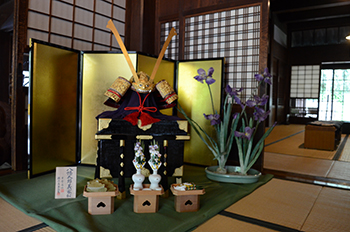 Image of Annual event display