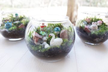 陶芸｢小さな森のテラリウム｣ の画像