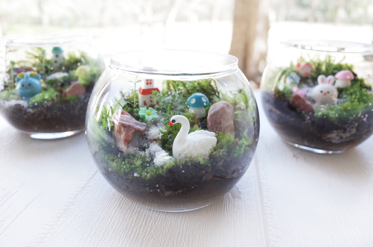 陶芸｢小さな森のテラリウム｣